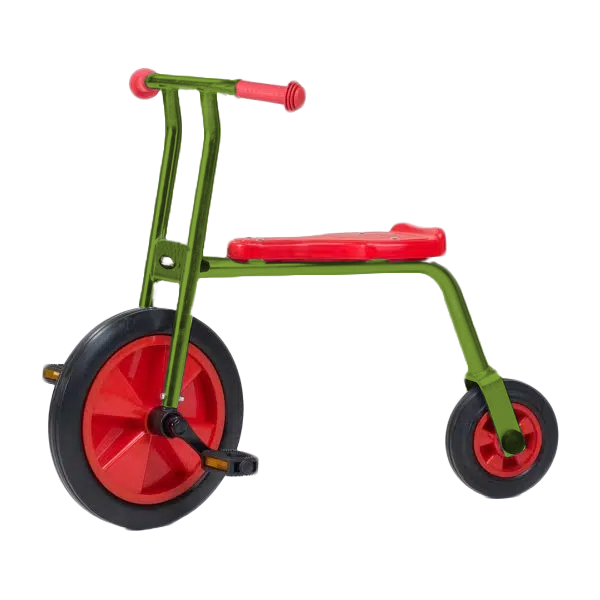 Tweewieler Fiets Maxi RAL 6025