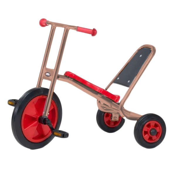 Driewieler Easy Rider Maxi RAL 3012