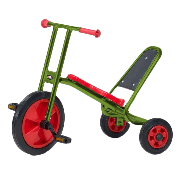 Driewieler Easy Rider Maxi RAL 6025