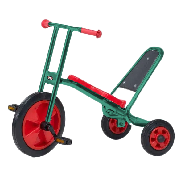 Driewieler Easy Rider Maxi RAL 6033